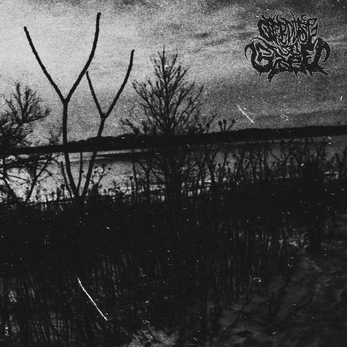 Cold. Slow Death of Youth cover