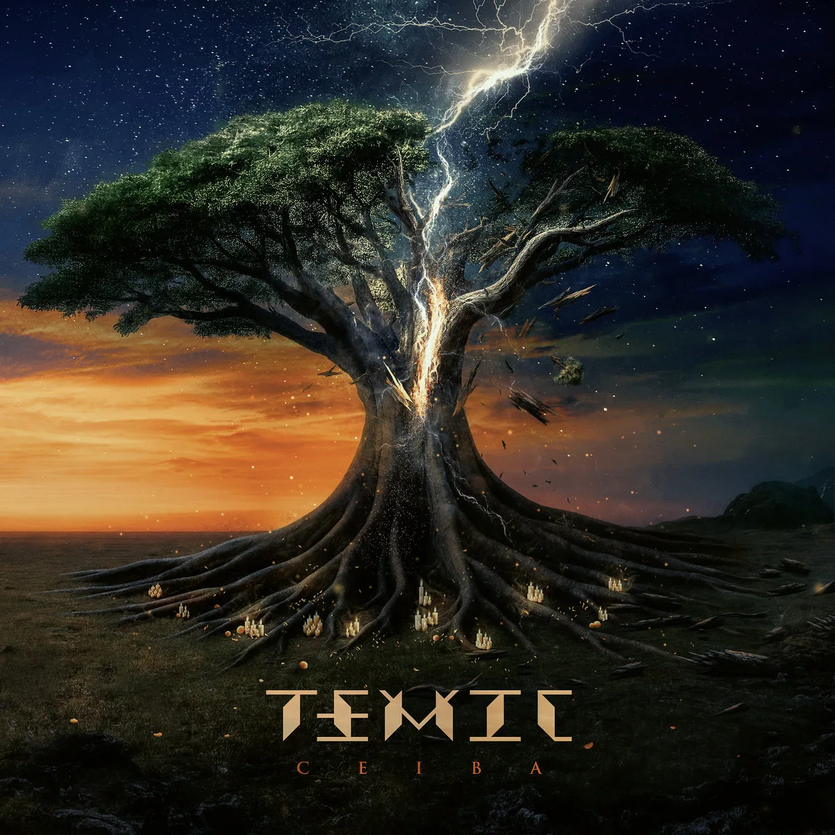 Ceiba cover