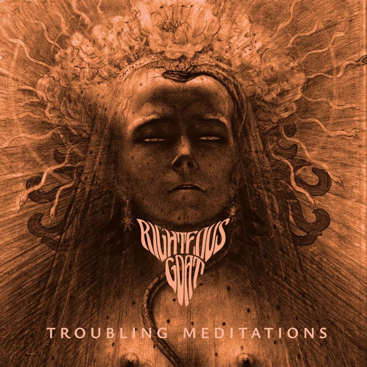 Troubling Meditations cover