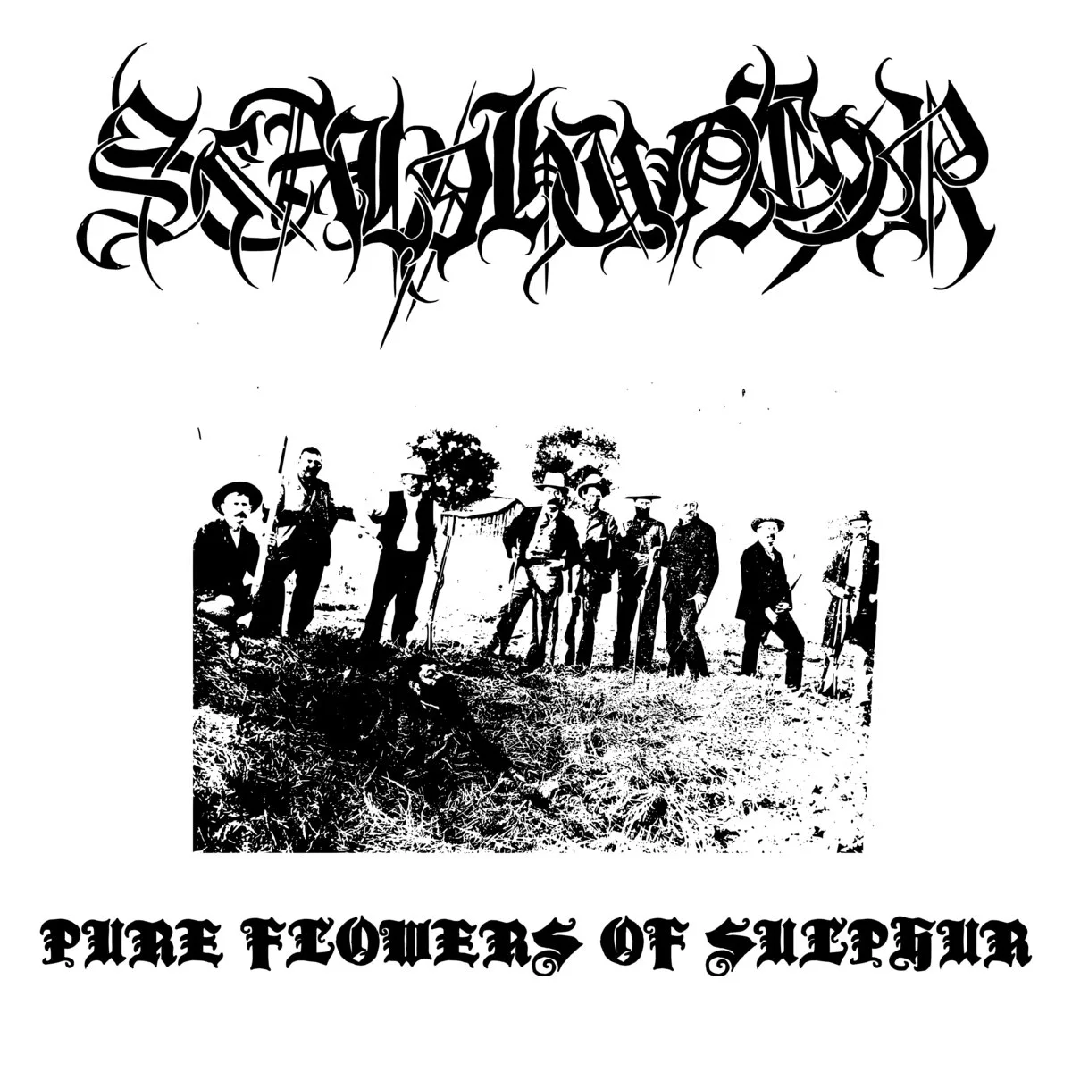 Pure Flowers of Sulphur cover