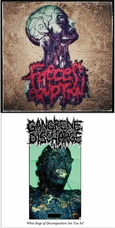 Untitled / What Stage of Decomposition Are You In? cover