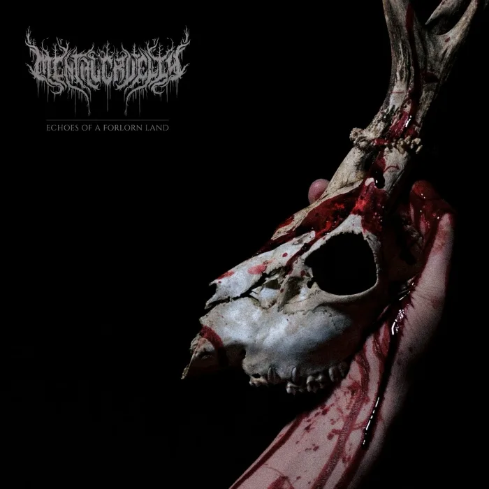 Echoes of a Forlorn Land cover