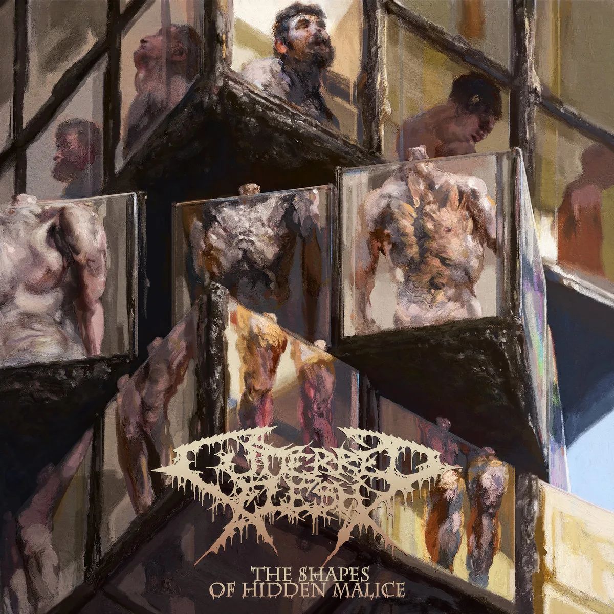 The Shapes of Hidden Malice cover