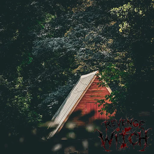 Revenge Of The Witch cover