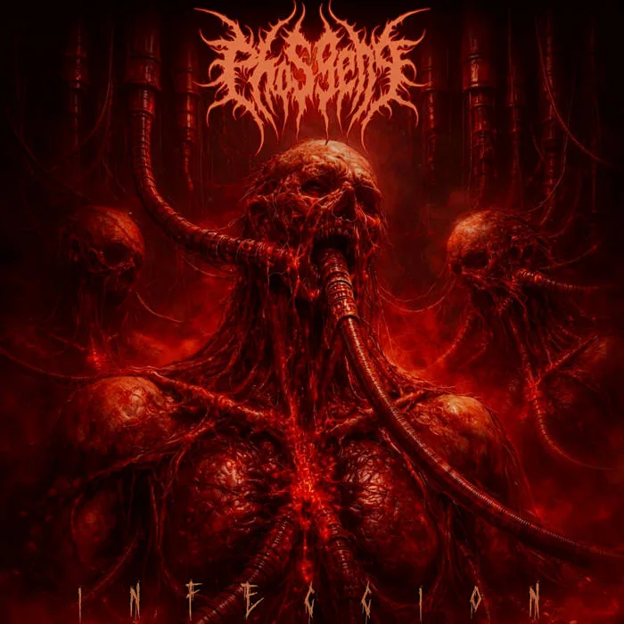 Infeccion cover