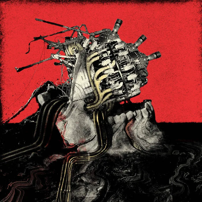 Indomitable Hostility cover
