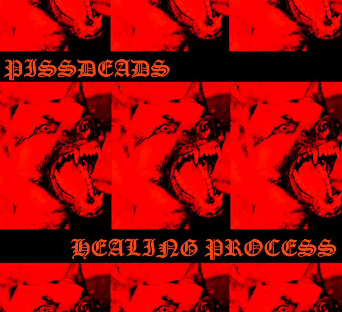 Healing Process cover