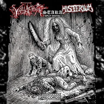 Stara cover