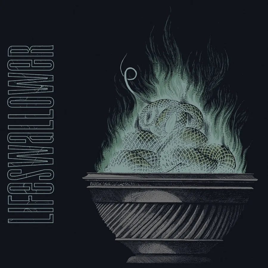 Lifeswallower cover