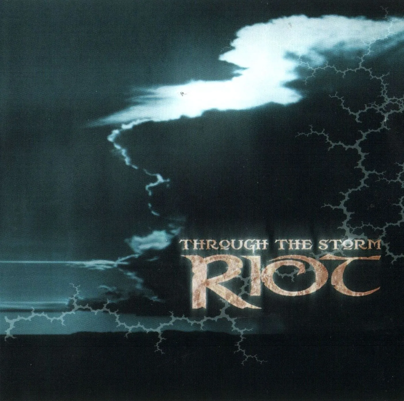 Through the Storm cover