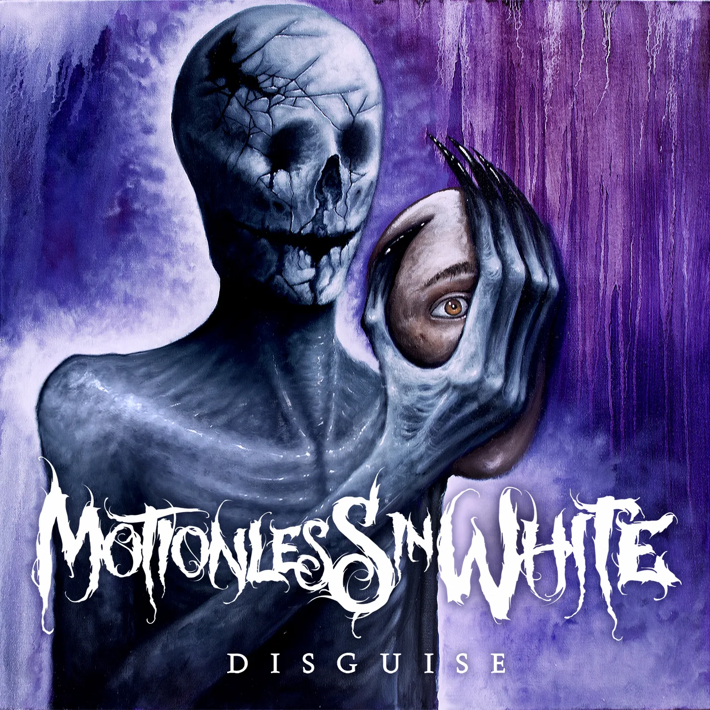 Disguise cover
