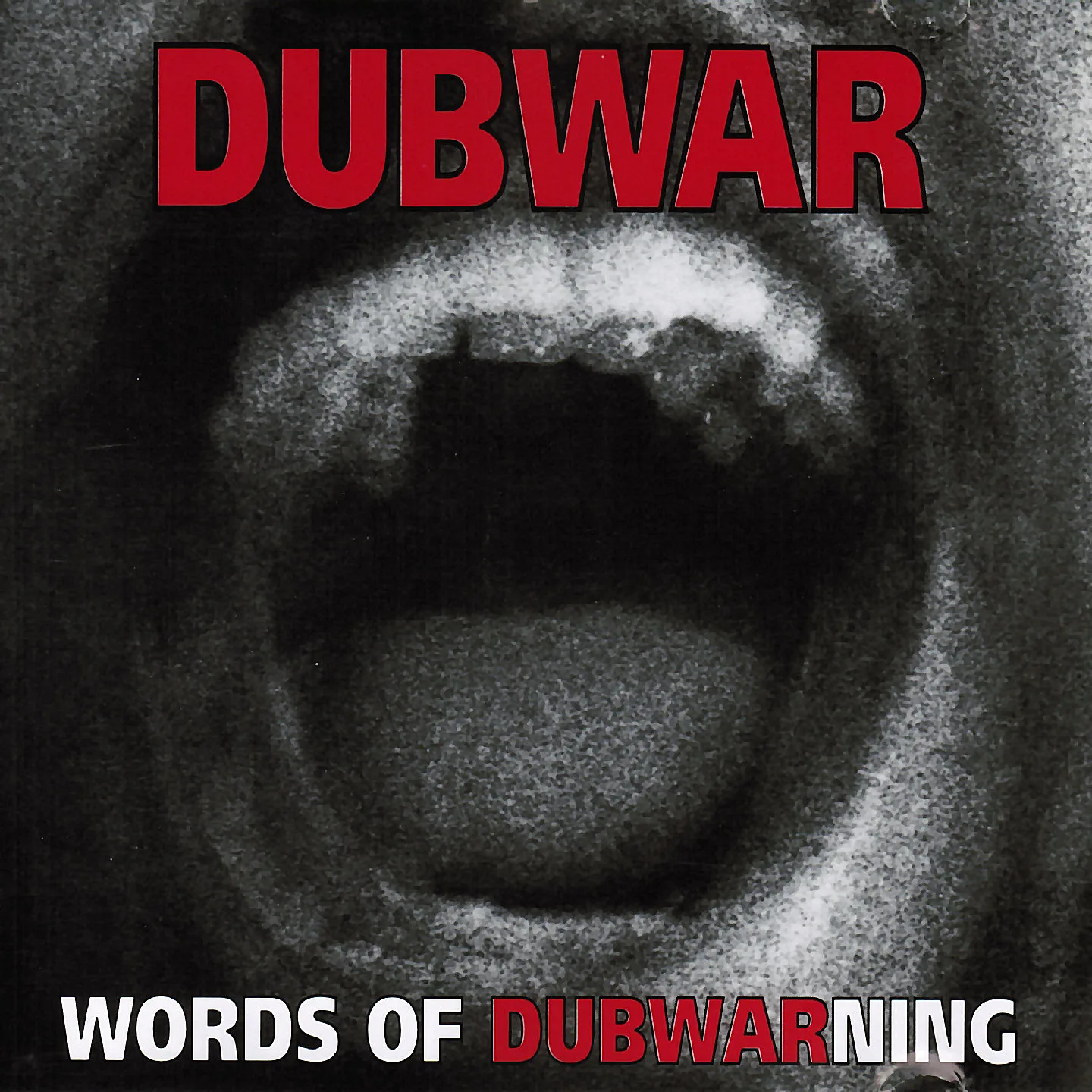 Words of Dubwarning cover