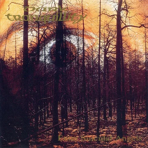 Enter Suicidal Angels cover