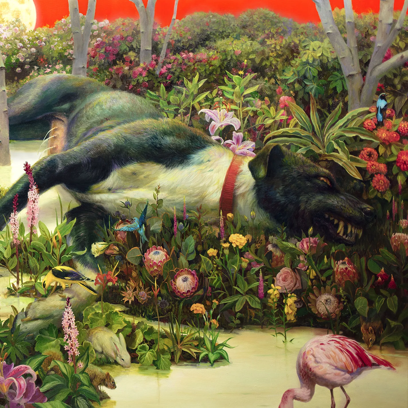 Feral Roots cover
