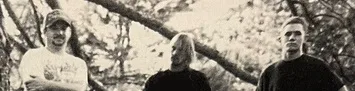 Decimation