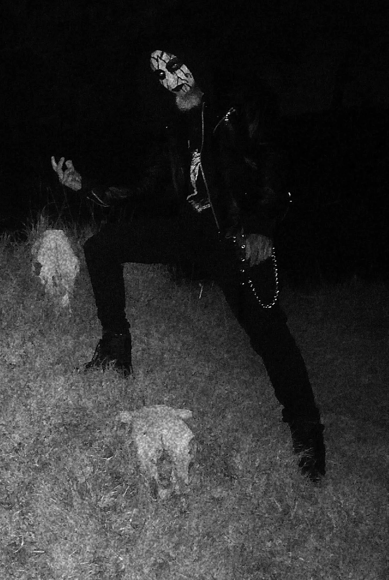 Desolacion Nocturna
