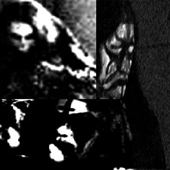 Goatwar