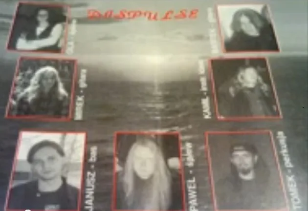 Dispulse