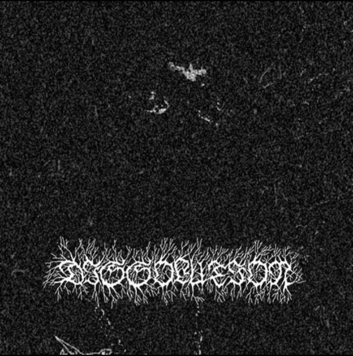 Dissolution