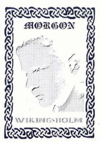Wikingsholm