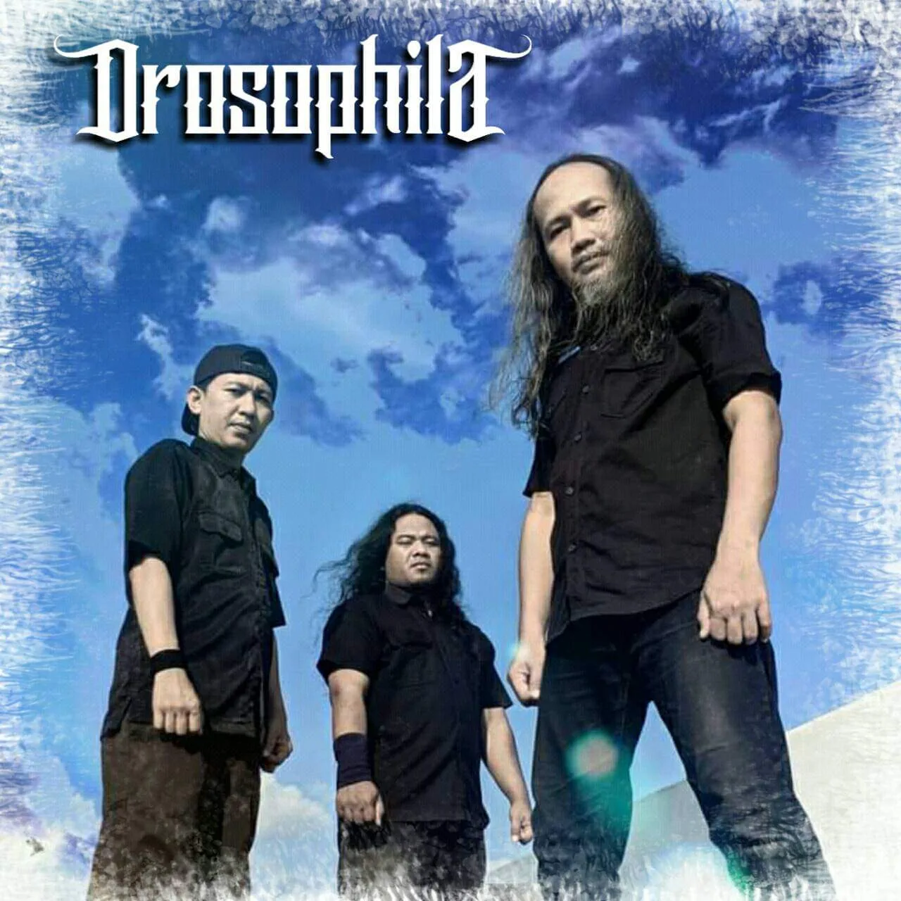 Drosophila