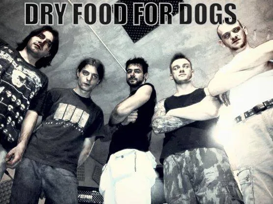 Dry Food for Dogs