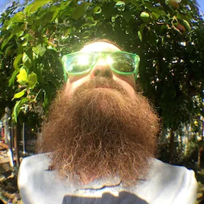 Dungeon Weed