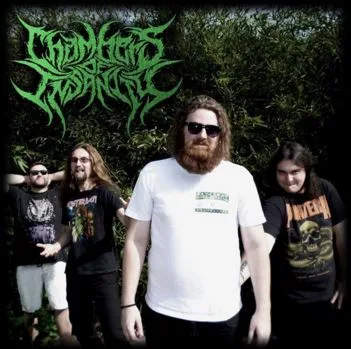 Chambers of Insanity