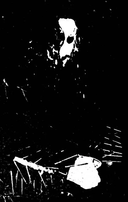 Fog Nights Mysteries