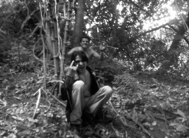 The Forest