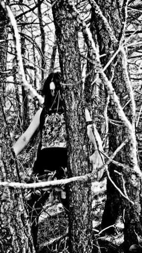 Forest of Darkness