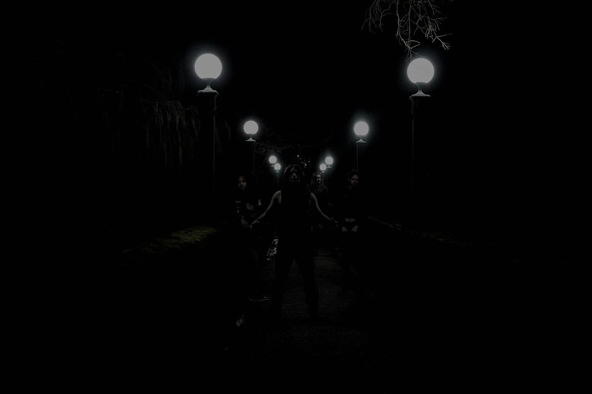 Forest of Grey