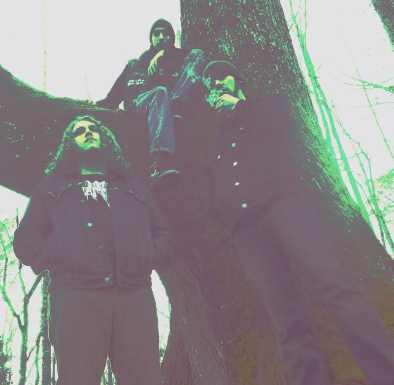 Forest of Legend