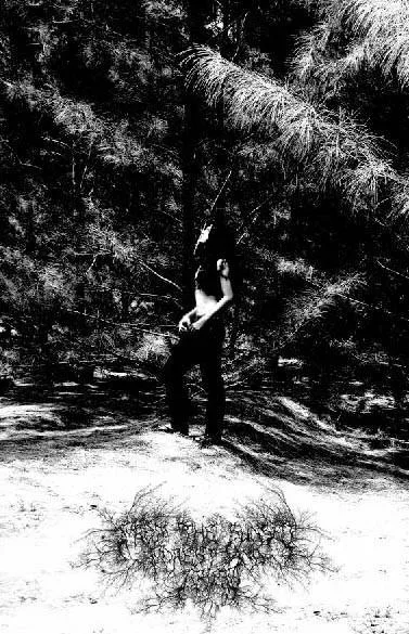 From the Sunset, Forest and Grief