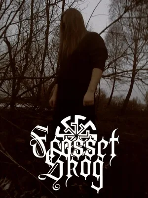 Frosset Skog