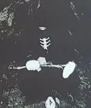 Grafvölluðr