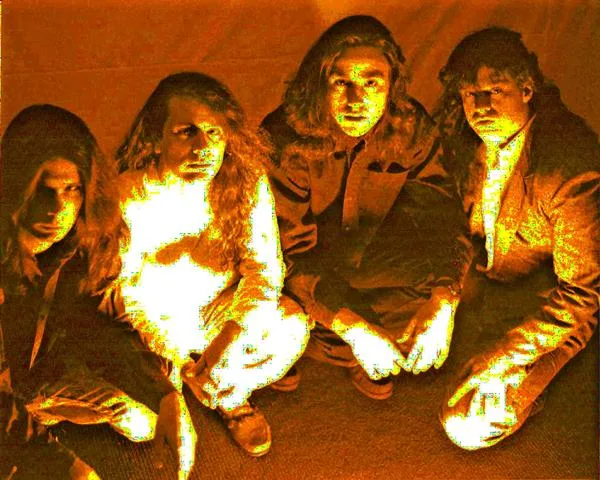 Groovy Seeds