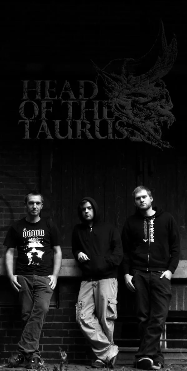 Head of the Taurus