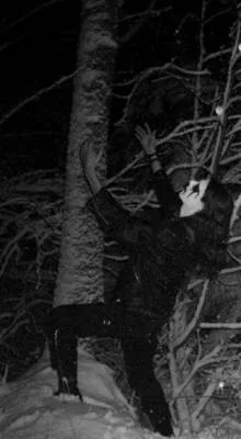 Darkwoods Legion