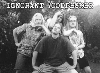 Ignorant Woodpecker