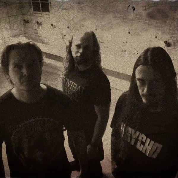Infected Noise