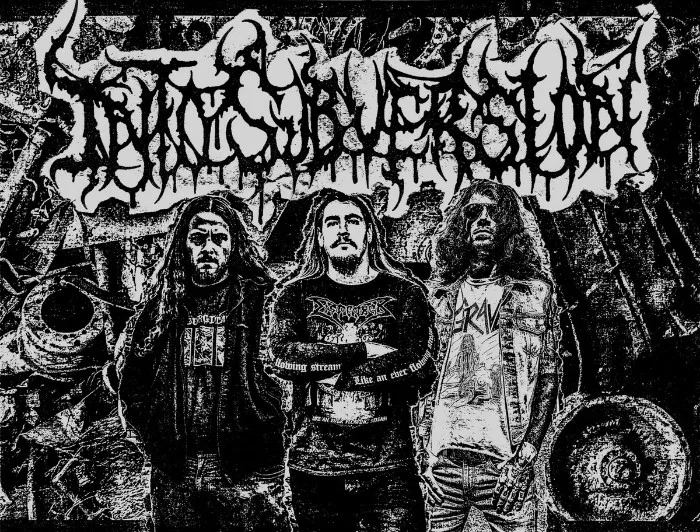 Into Subversion