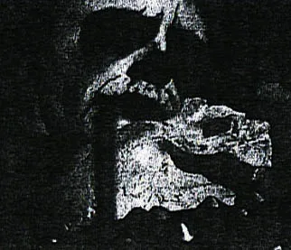 Nebiros