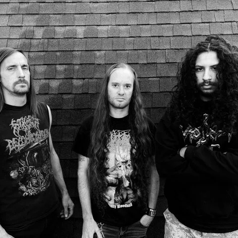 Embryonic Devourment