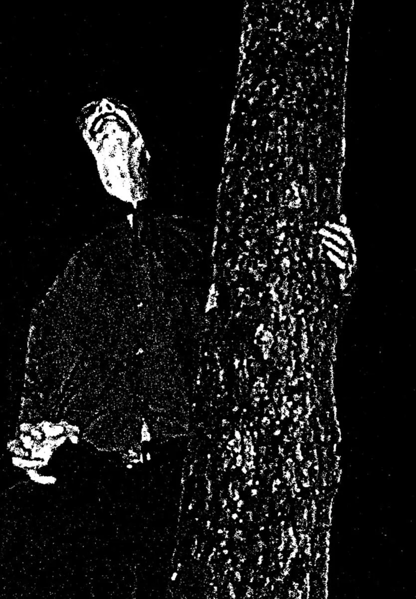 Lampir