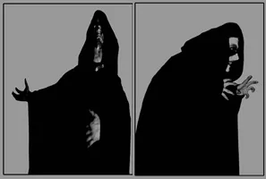 Les Fleurs du Mal