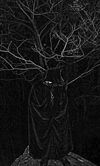 Malefic Sorcery