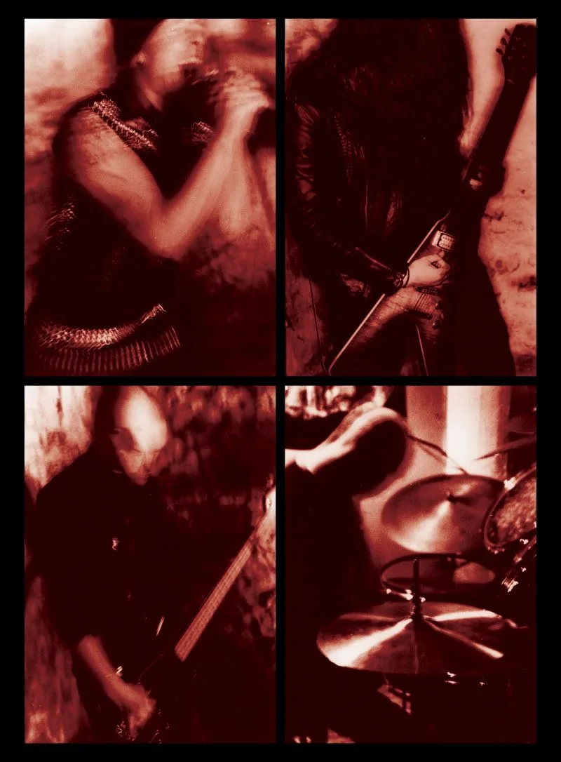 Malleus