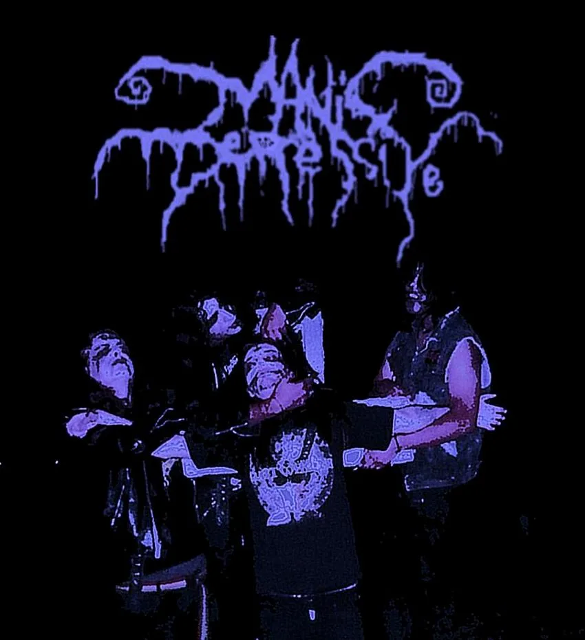 Manic Depressive