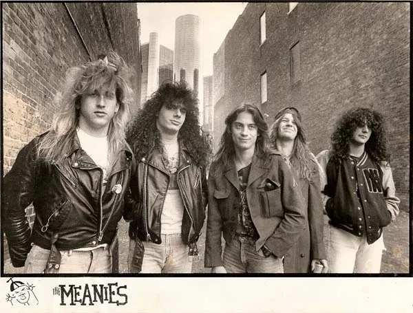 The Meanies